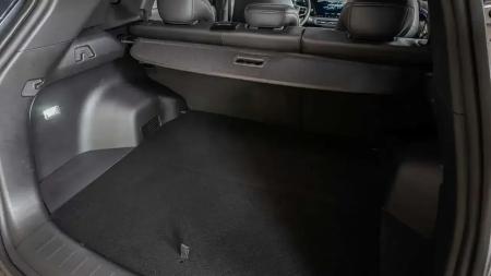 • Divulgação