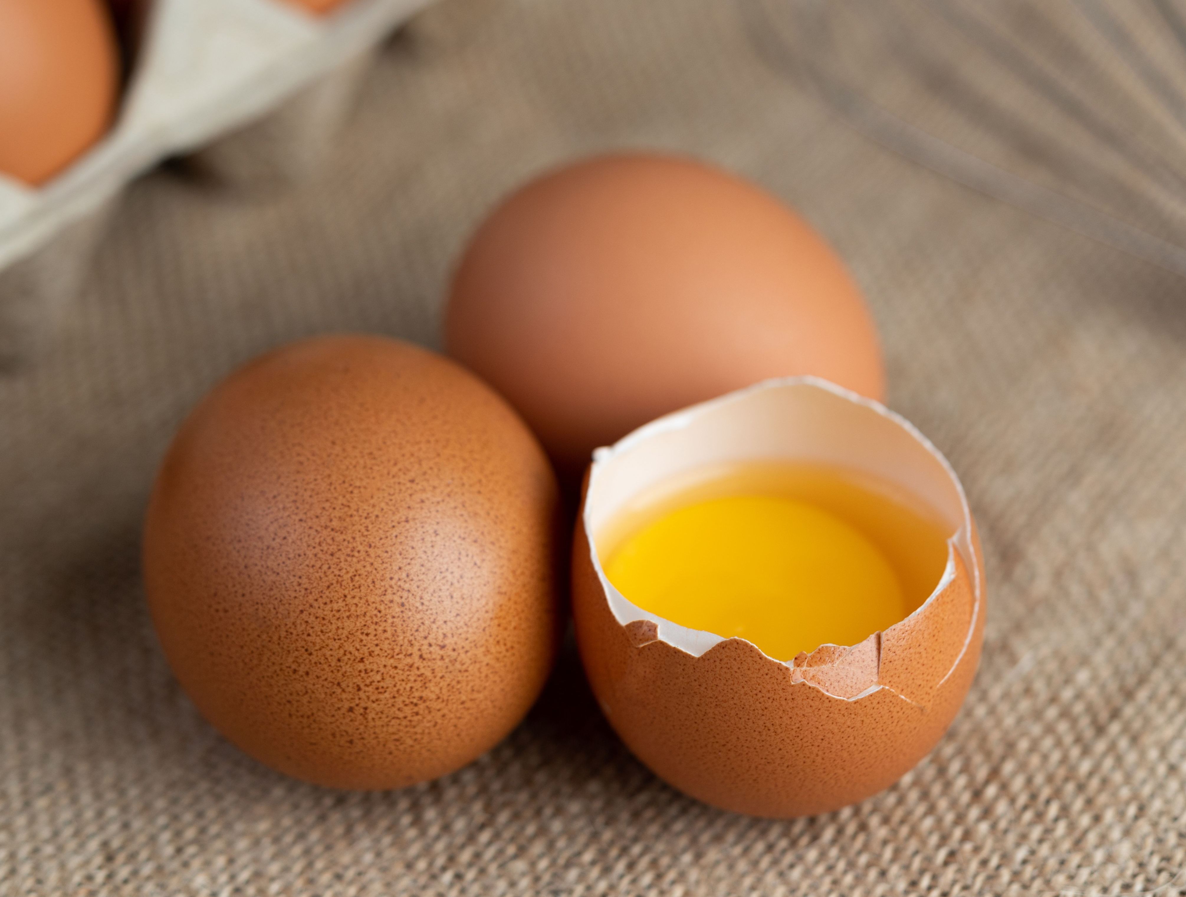 Quantas proteínas tem um ovo? Veja a quantidade e os benefícios