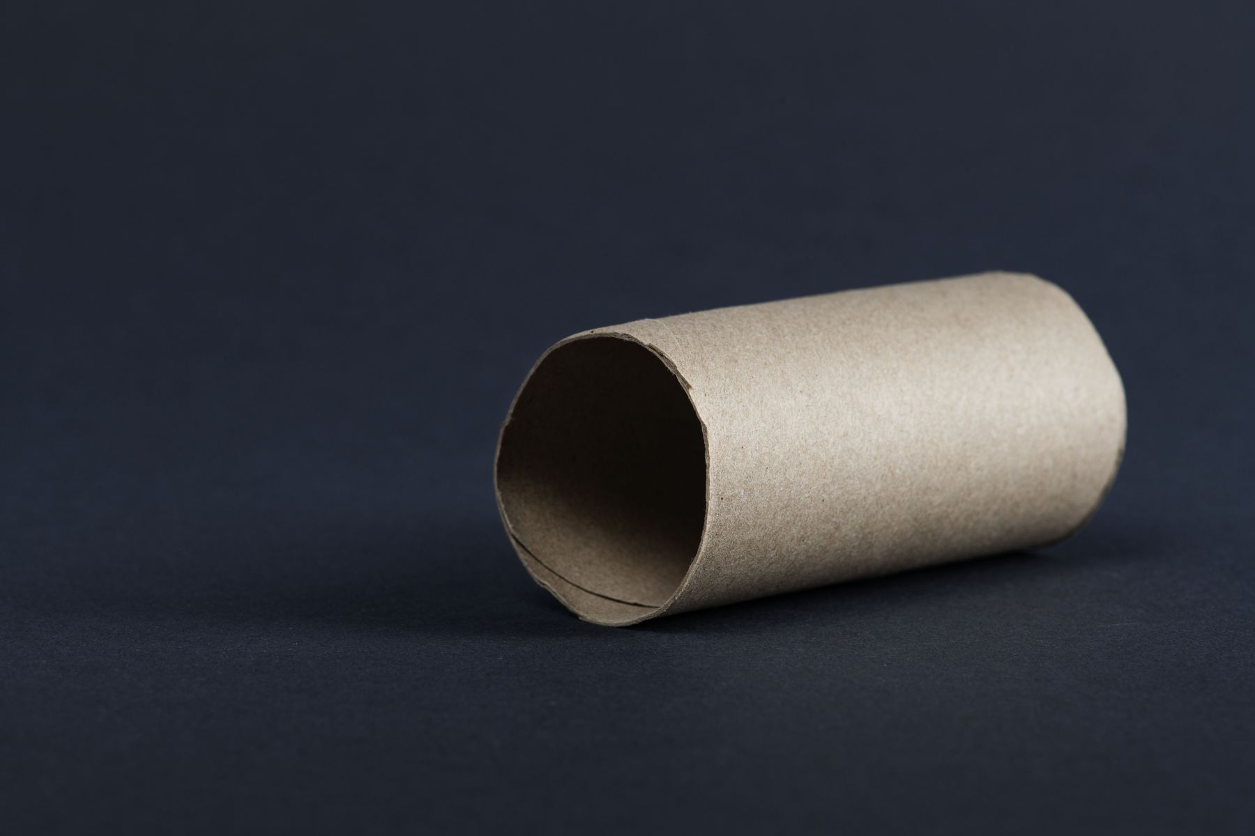 Se você tem rolos de papel higiênico, tem um tesouro em casa: veja três ideias para reaproveitá-los