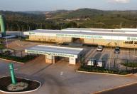 Sistema Faemg Senar lança levantamento inédito sobre safra de café