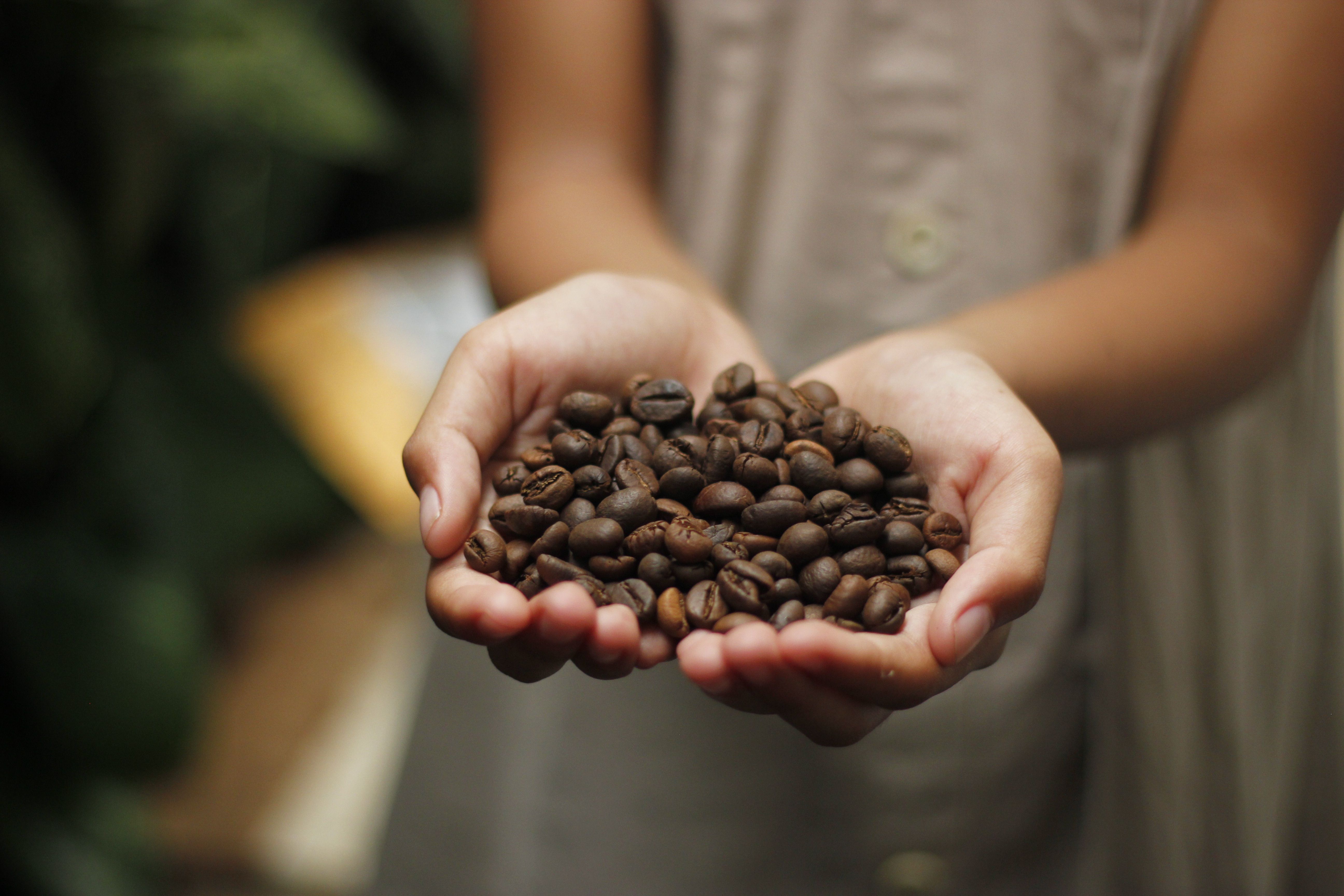 Varginha homenageia cafeicultura e Fundação Procafé no Memorial do ET