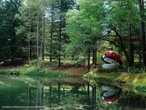 Hospedagem inspirada em uma Pokébola fica em meio à natureza de Hokkaido, no Japão