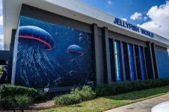 Jellyfish Museum tem 21 tanques com diferentes espécies de águas-vivas