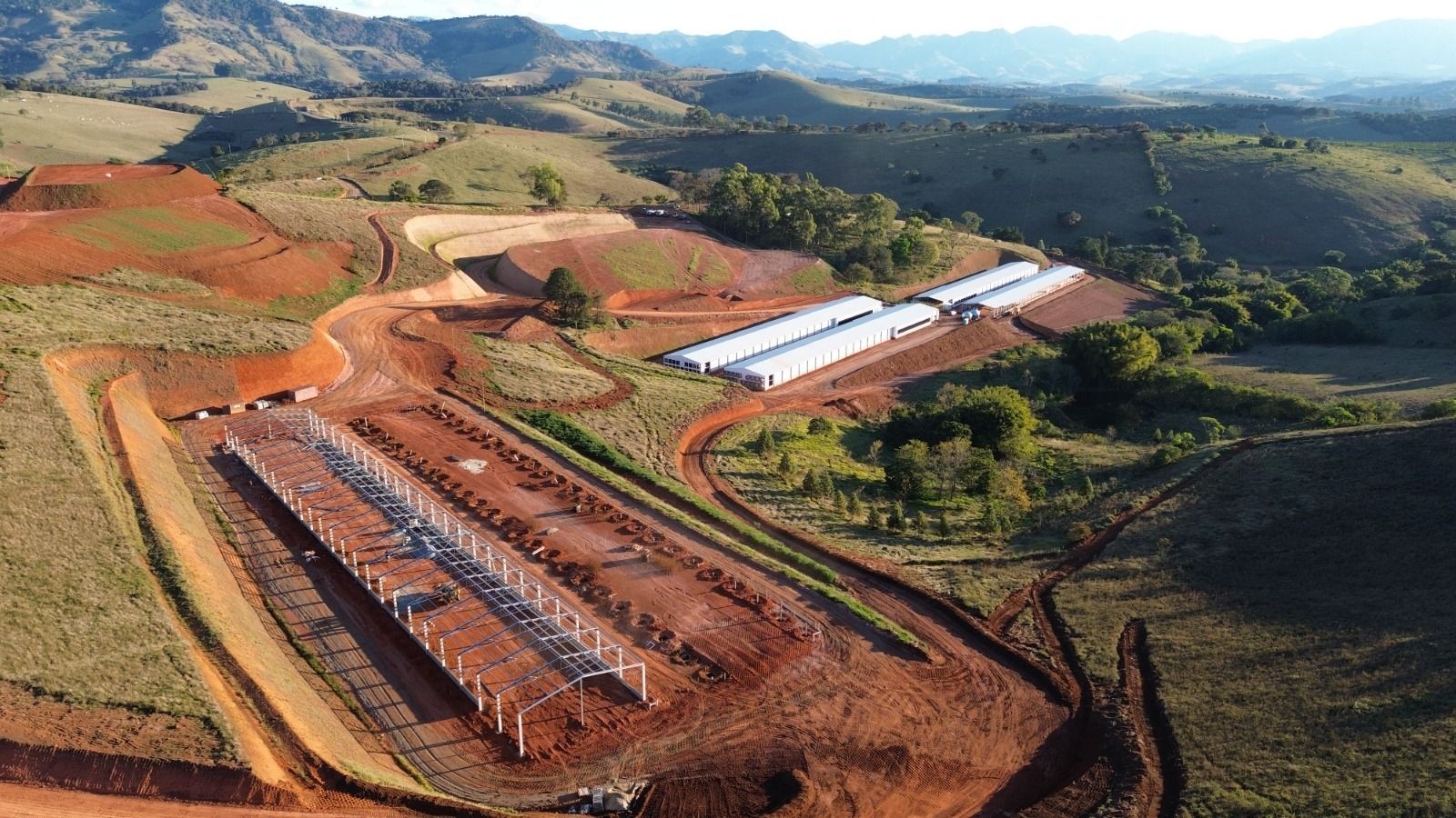Multinacional produtora de ovos anuncia expansão no Sul de Minas