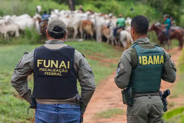 Funai abre seleção com mais de 800 vagas e salários de até R$ 7,6 mil em todo país
