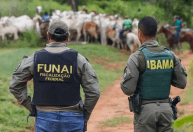 Funai abre seleção com mais de 800 vagas e salários de até R$ 7,6 mil em todo país