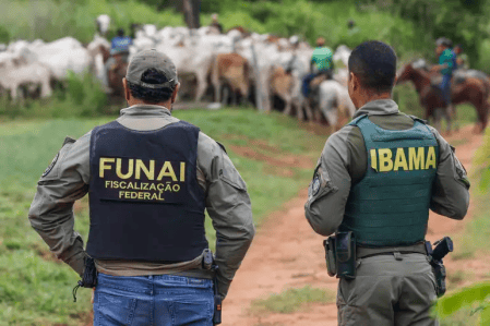 Fundação Nacional dos Povos Indígenas (Funai)