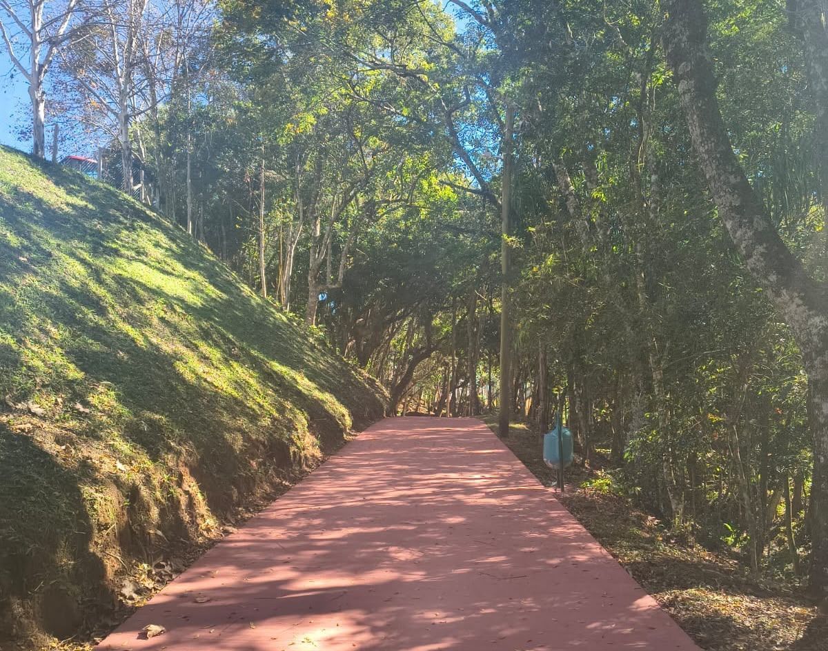 Poços de Caldas e Varginha celebram o Dia da Árvore com incentivo ao plantio e balanço de ações