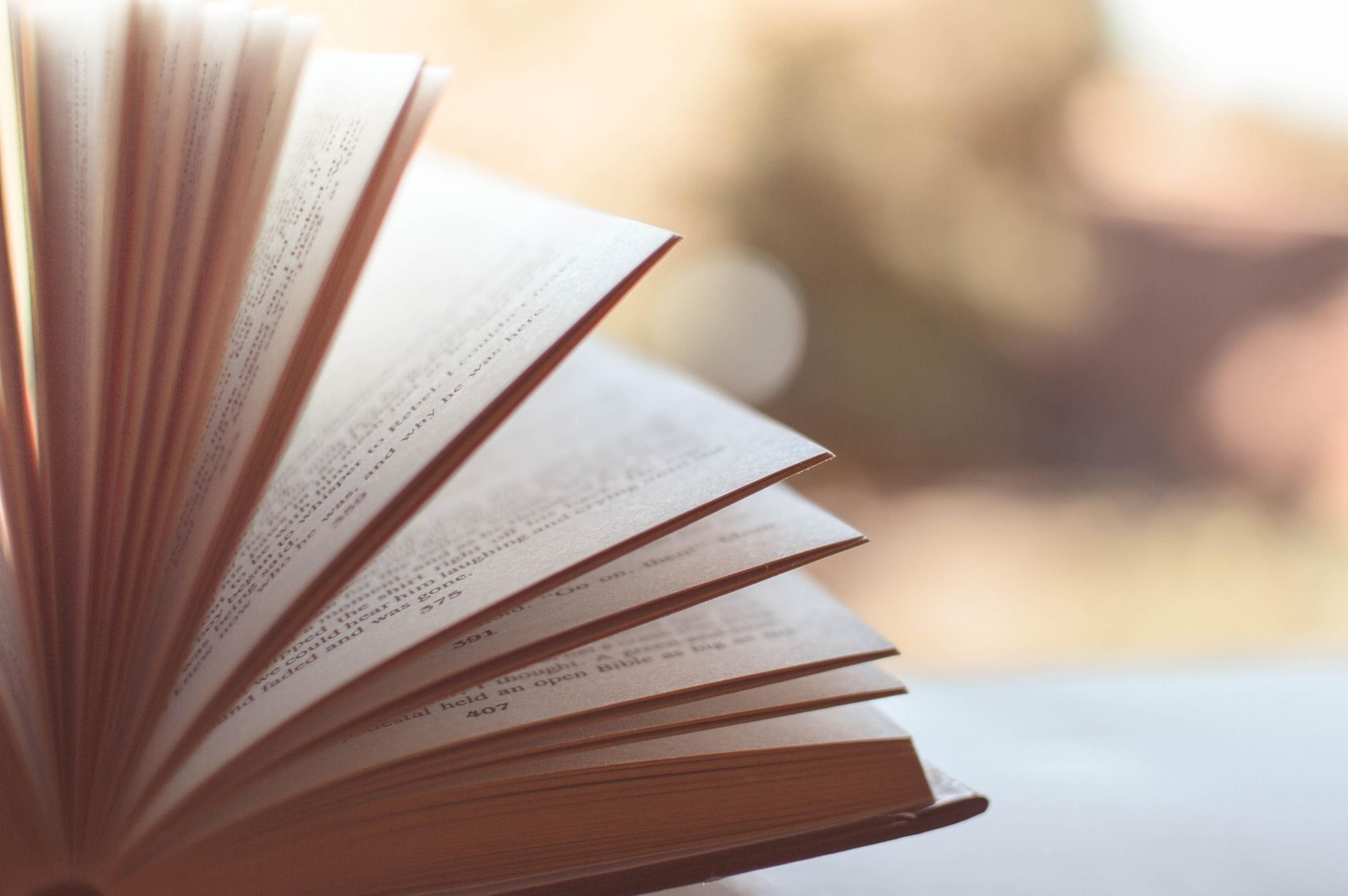 Reflexão de Dom Quixote sobre a literatura: 'Não existe livro tão ruim, que não contenha algo de bom'
