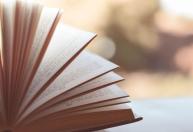 Reflexão de Dom Quixote sobre a literatura: 'Não existe livro tão ruim, que não contenha algo de bom'
