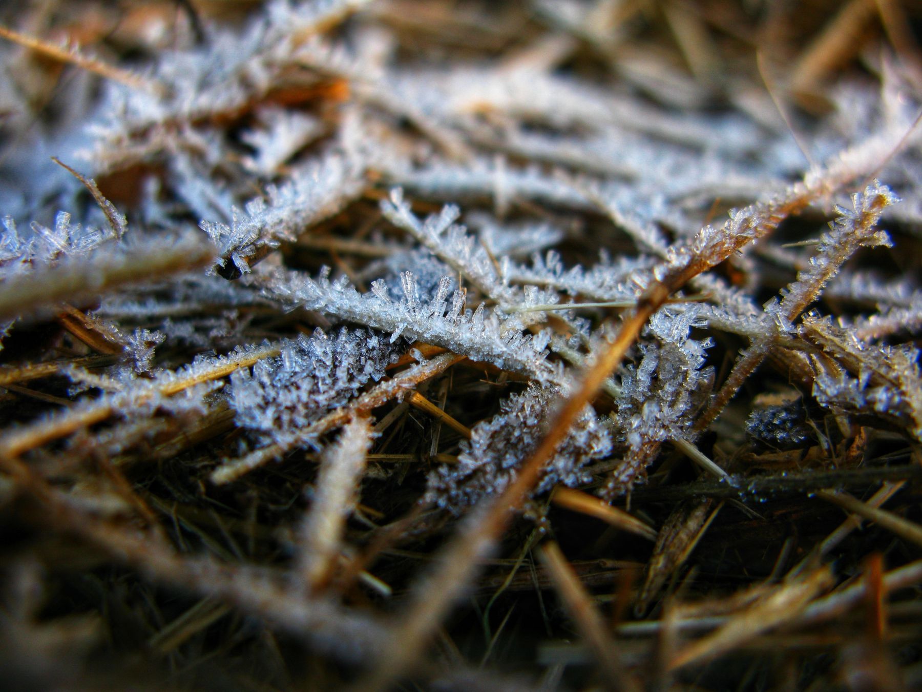 Massa de ar polar derruba temperaturas e traz chance de neve e geada ao RS