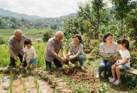 Provérbio chinês do dia: "Se você faz planos para um ano, semeie arroz; se os faz para 10 anos, plante árvores; e se os faz para a vida toda, eduque uma pessoa."