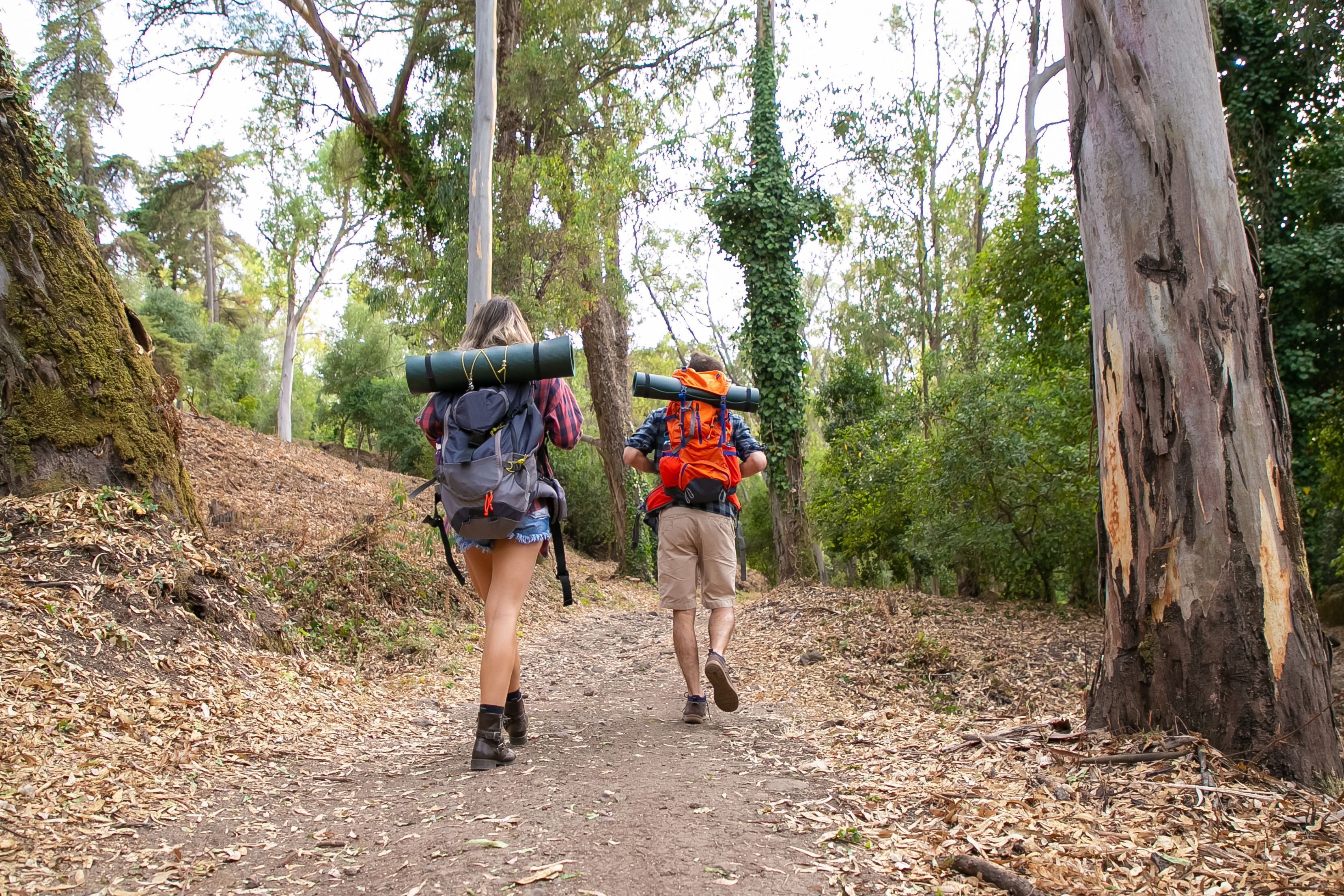 Trekking ganha espaço entre quem busca aventura e contato com a natureza