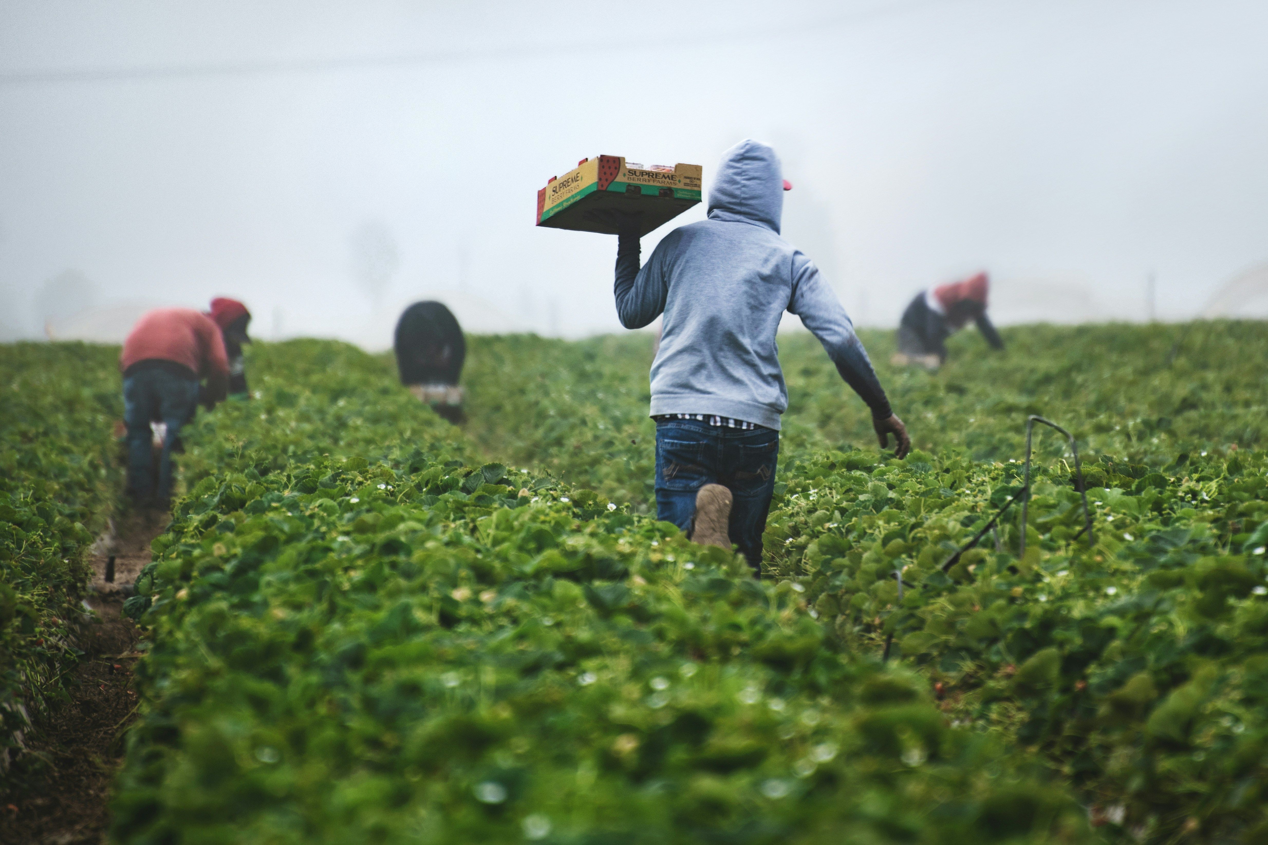 Eles produzem, nós informamos e o agro acontece