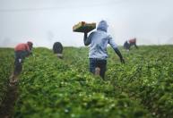 Eles produzem, nós informamos e o agro acontece