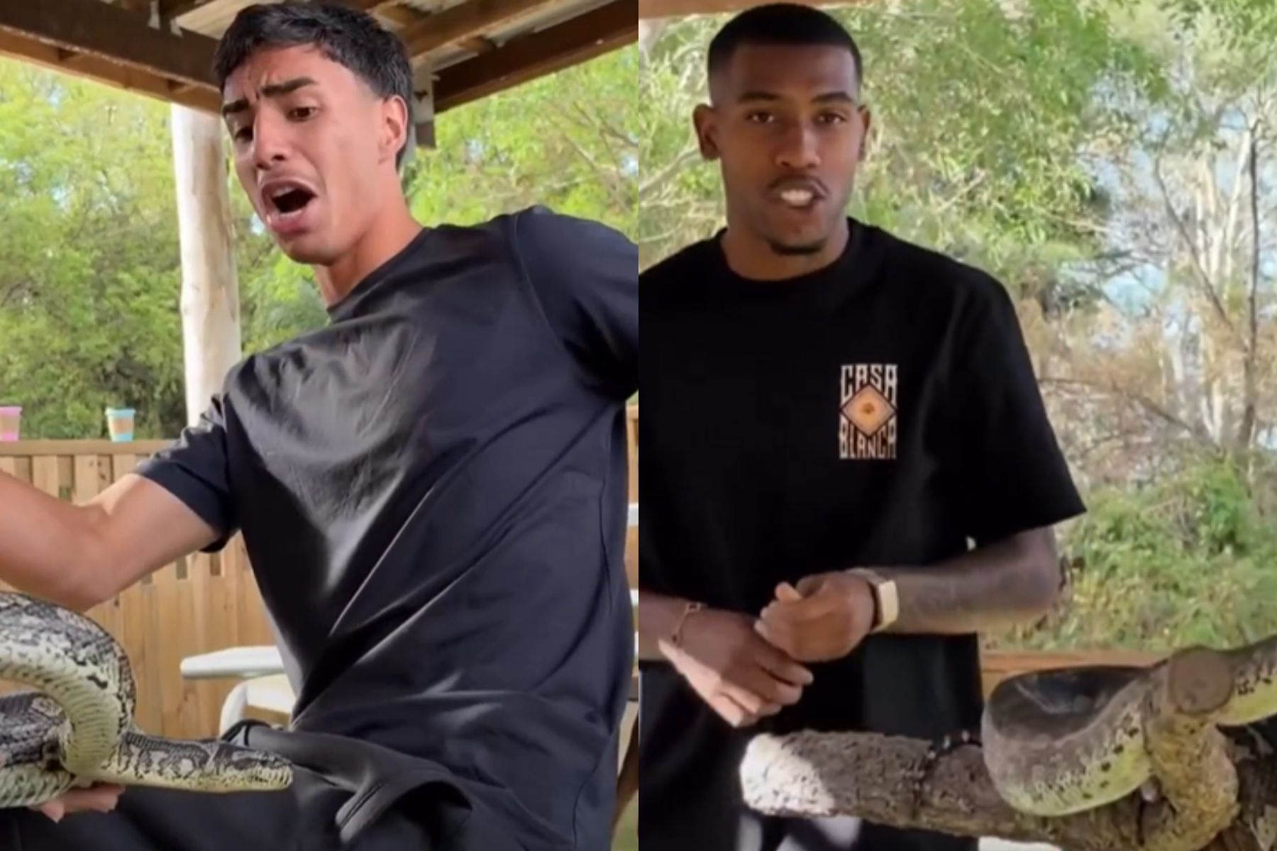 Com cobras e sustos, Vitor Reis e Rayan visitam santuário na Austrália