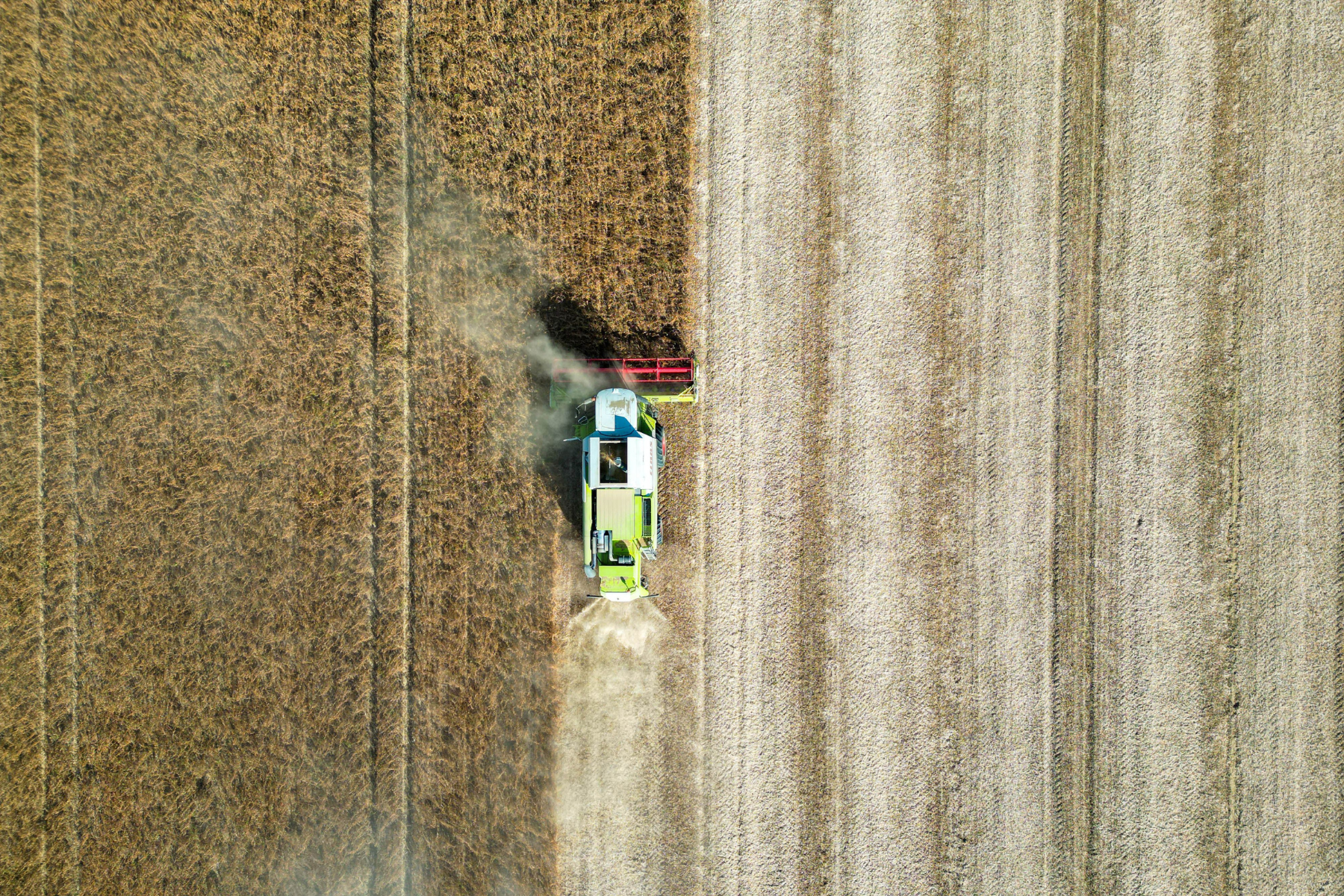 Agropecuária lidera crescimento da economia paulista no segundo trimestre de 2026