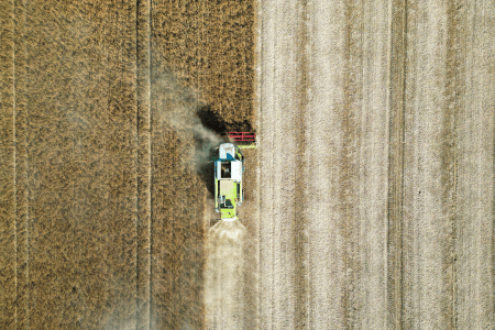 rator com equipamento de colheita trabalhando em uma plantação de trigo, percorrendo a lavoura.