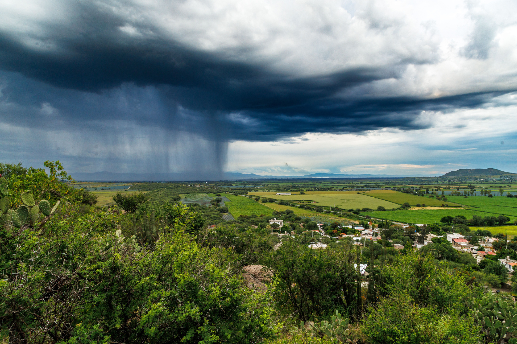 Nova plataforma reúne informações sobre os impactos do El Niño no agro