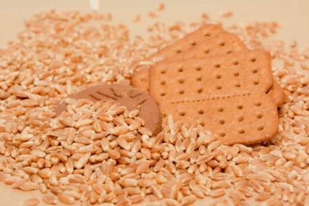 Biscoito pronto para consumo ao lado de grãos e espigas colhidas de triticale, cereal híbrido de trigo e centeio.