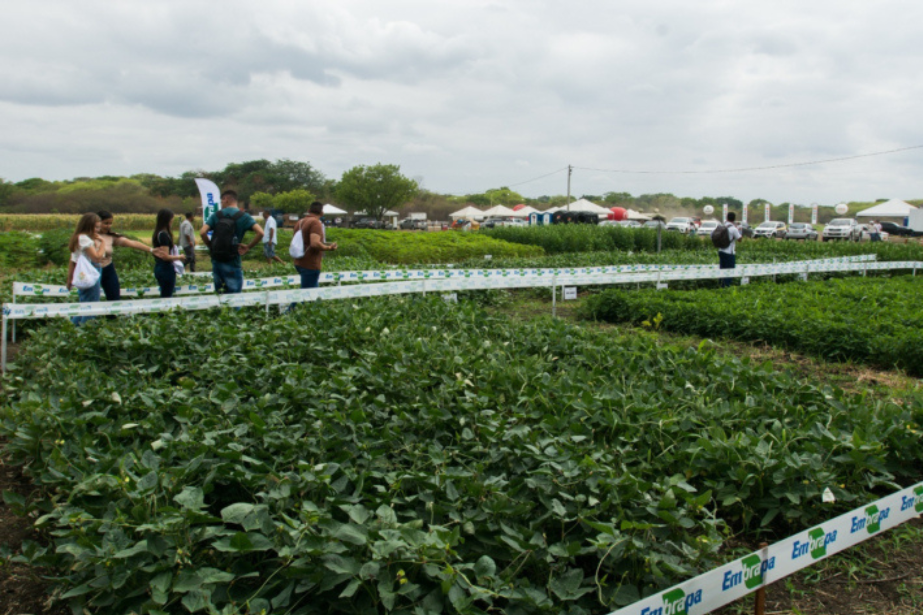 ExpoCariri espera 100 mil visitantes e R$ 50 milhões em negócios no Ceará