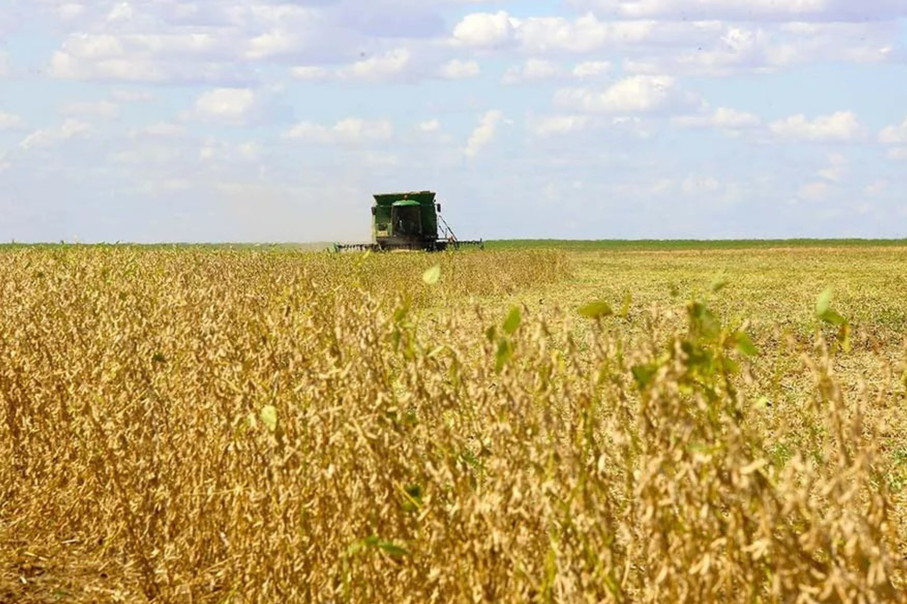 Exportações do Paraná crescem 5,5% e chegam a US$ 18,7 bilhões de janeiro a setembro de 2026