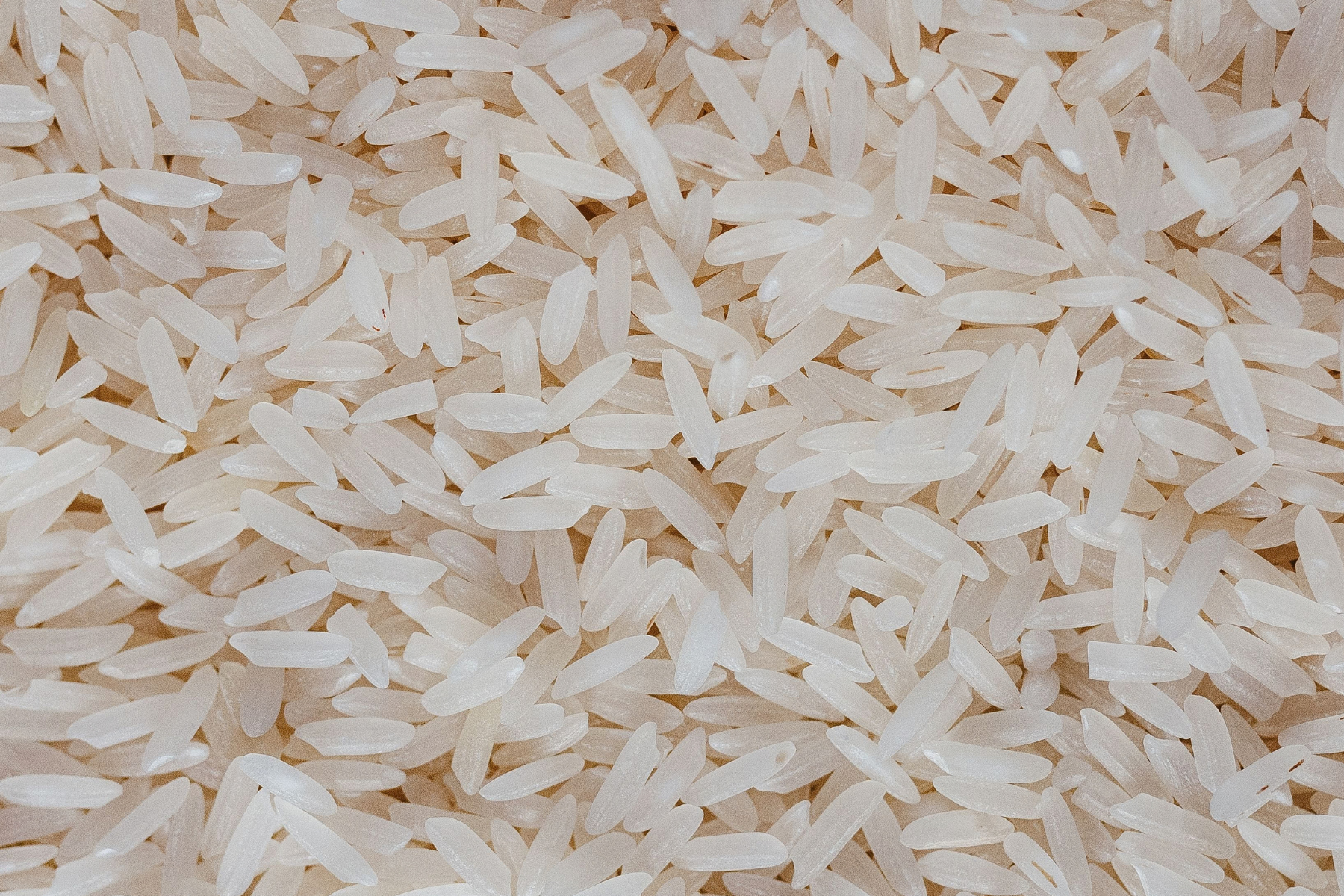 Exportações sustentam preços do arroz, mas demanda interna segue fraca