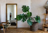 Espelhos e quadros na parede estão fora de moda: estas são as 4 novas tendências para a sala de estar