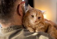 Os gatos miam para os humanos, mas quase não usam esse som entre si; entenda