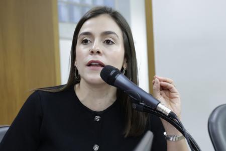 Comissão de Educação, Ciência e Tecnologia
