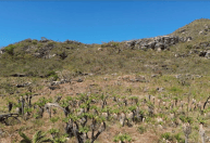 Gouveia, em Minas Gerais: história de ouro, diamantes e muita fé