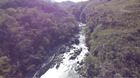 Biodiversidade: vegetação, espécies curiosas e rios mostram riqueza natural de Gouveia