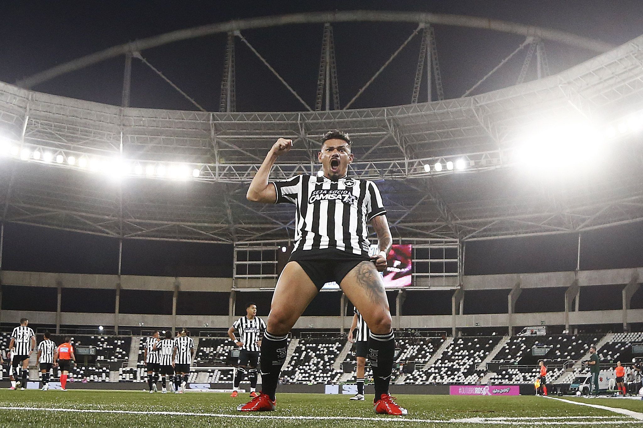 Botafogo x Chapecoense: Tiquinho volta a marcar no Nilton Santos e encerra jejum