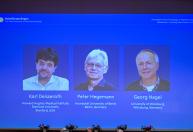Nobel de Medicina premia pesquisadores por trabalhos na optogenética