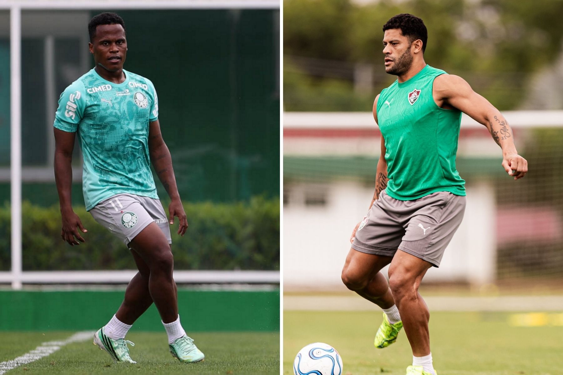 Palmeiras e Fluminense protagonizam decisão por vaga na final da Libertadores