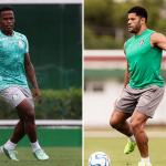 Palmeiras e Fluminense protagonizam decisão por vaga na final da Libertadores