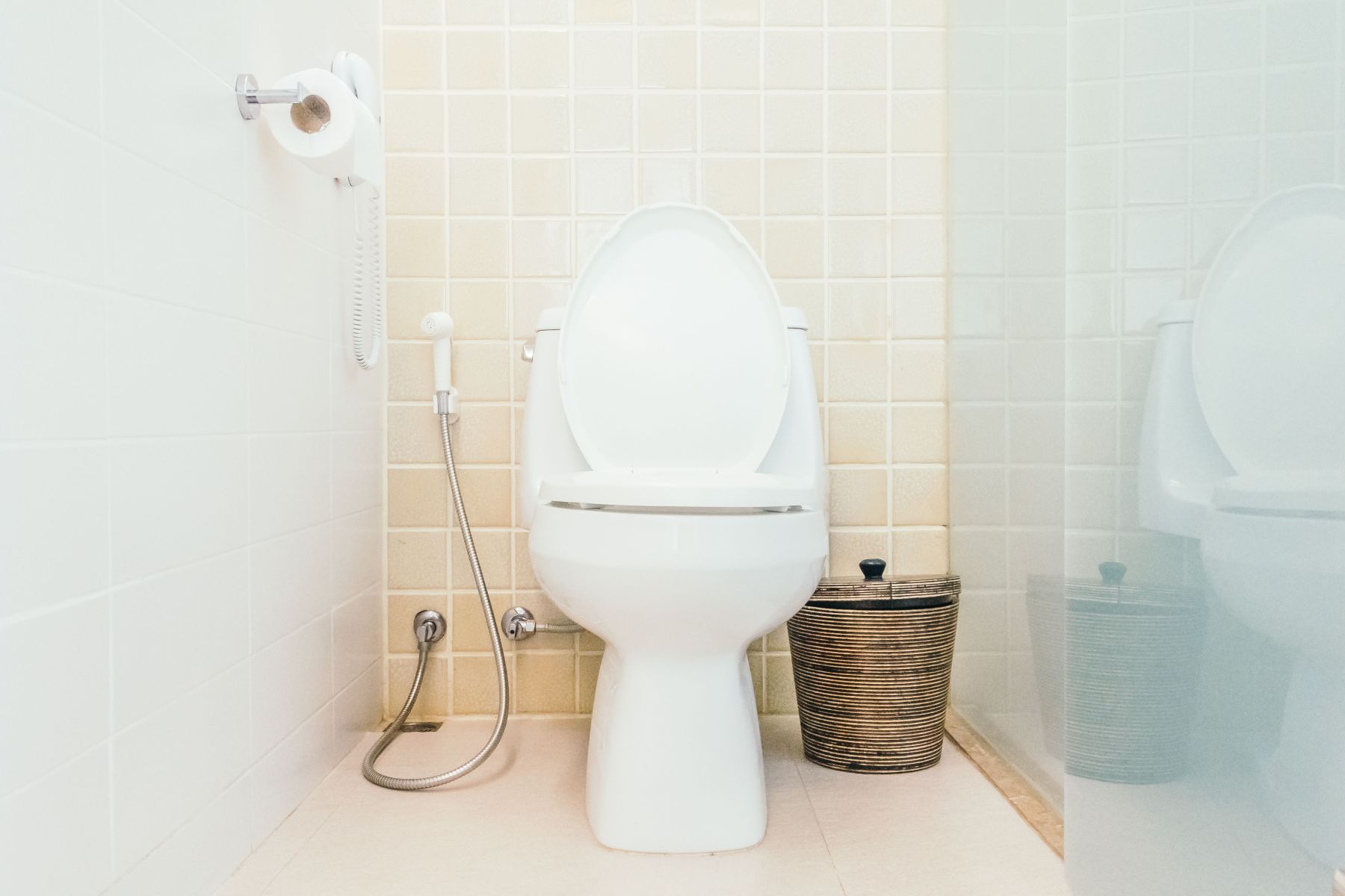 Banheiro com mau cheiro? Veja 5 dicas práticas para deixar o ambiente sempre cheiroso