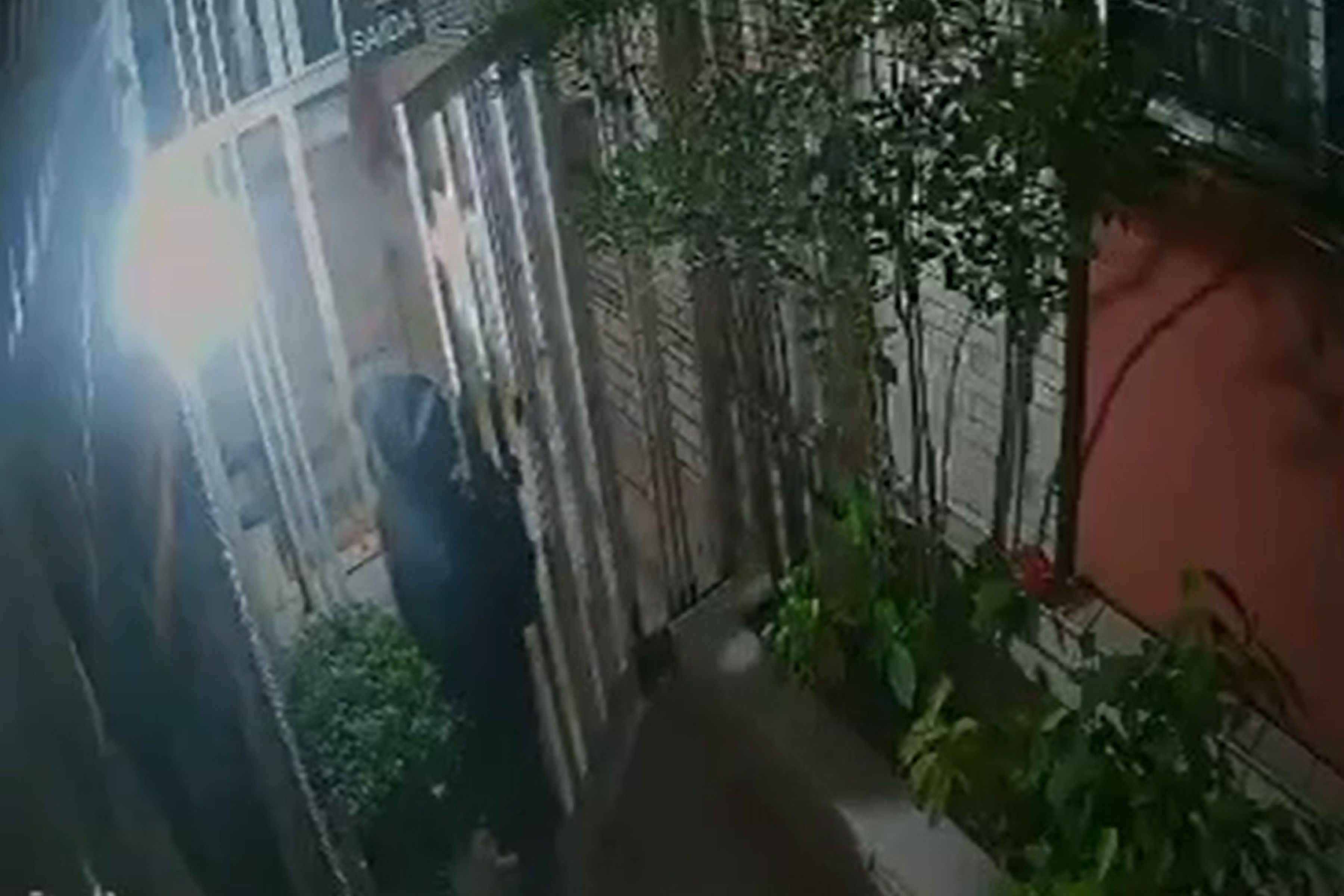 Vídeo: criminoso invade prédio no Santo Agostinho, em BH, para furtar durante a madrugada