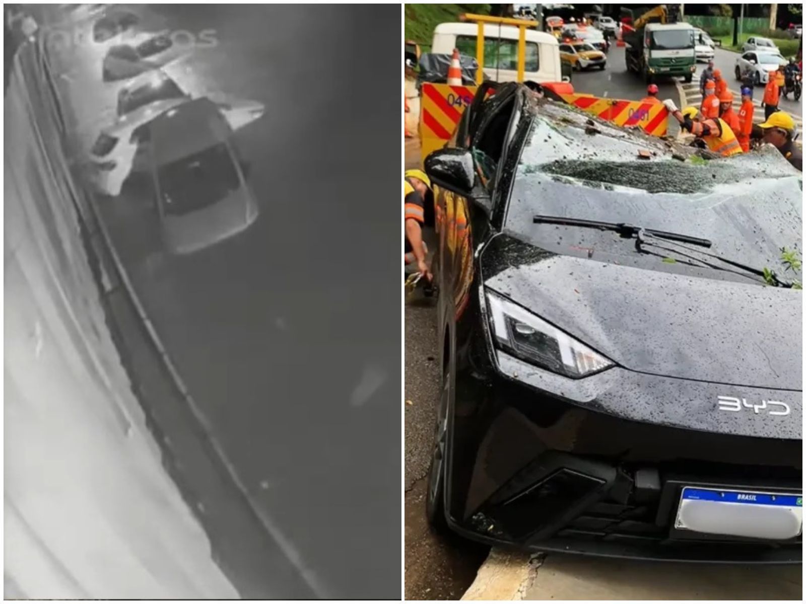 Chuva volta a derrubar árvores e arrastar carros em São Paulo; saiba a previsão para os próximos dias