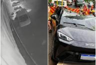 Chuva volta a derrubar árvores e arrastar carros em São Paulo; saiba a previsão para os próximos dias