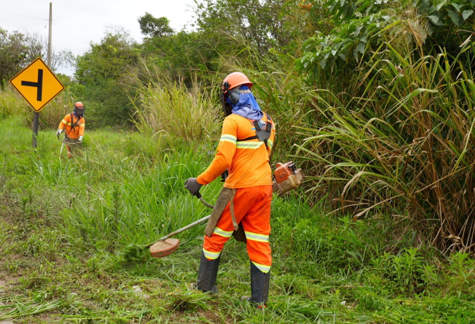 EPR Vias do Café intensifica serviços de roçada e conservação com a chegada do período chuvoso