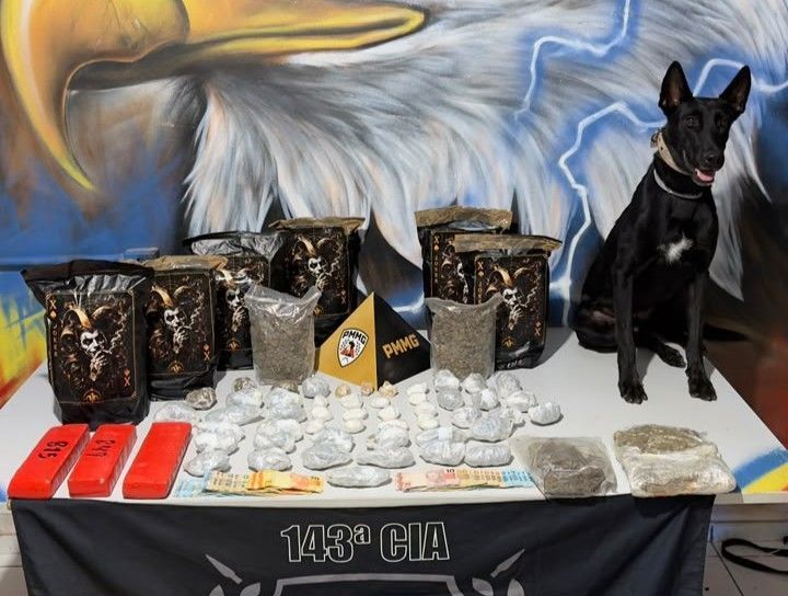 Mulher é presa e mais de 10 quilos de maconha apreendidos em Ipatinga