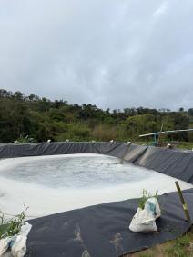 Fazenda Belluzzi, em Cachoeira de Minas