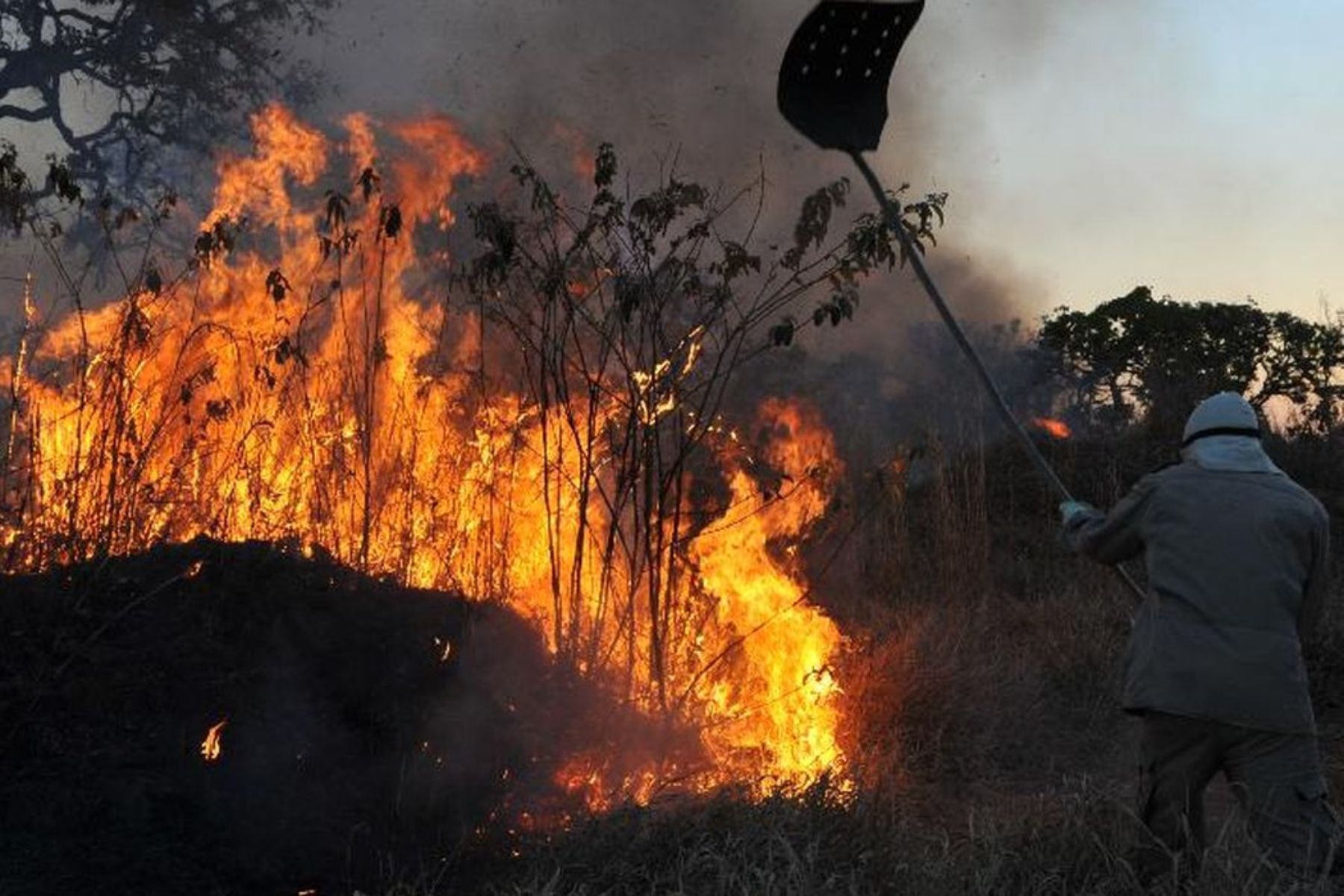 Polícia Federal investiga possíveis incêndios criminosos no Amazonas