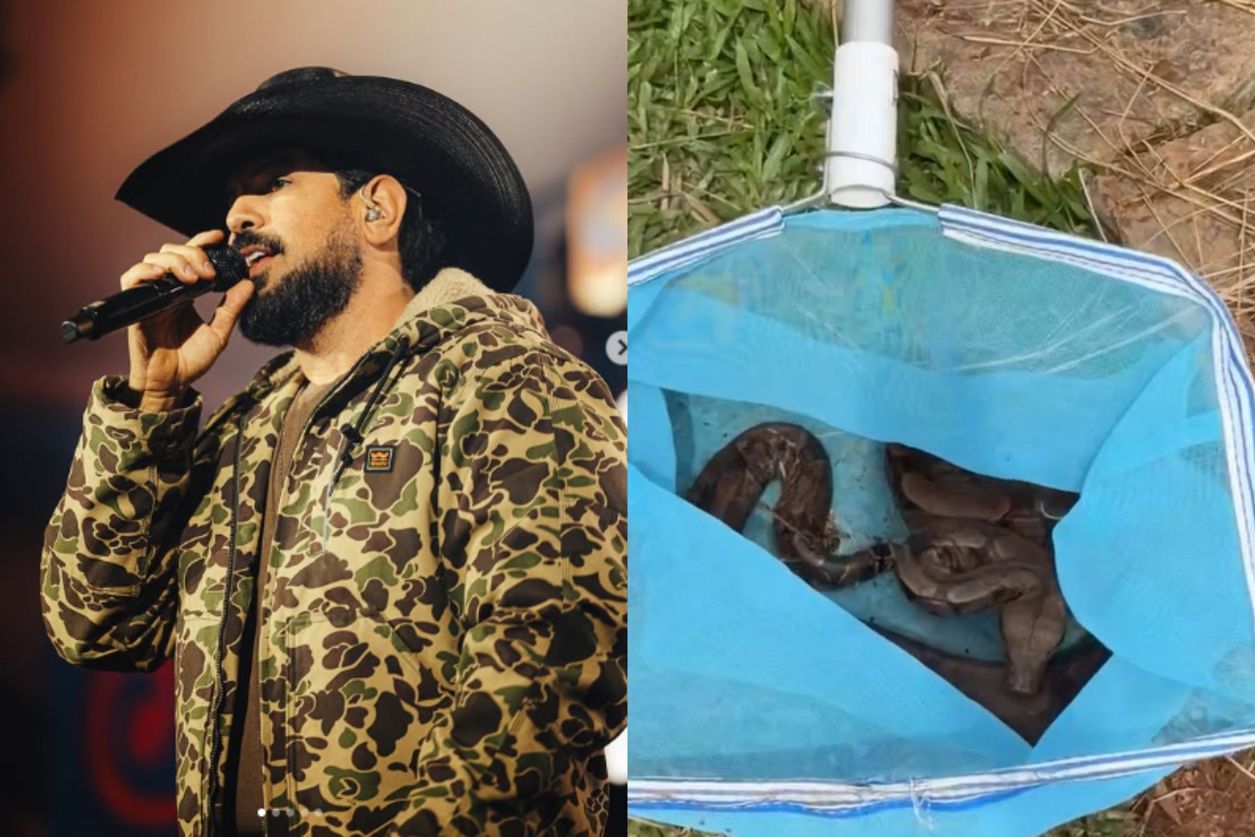 Cantor sertanejo Sorocaba encontra jiboia em jacuzzi durante reforma; veja vídeo