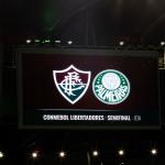 Fluminense x Palmeiras: veja escalações para jogo de ida da semifinal da Libertadores