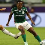 Arias provoca torcida do Fluminense após classificação do Palmeiras à final da Libertadores