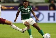 Arias provoca torcida do Fluminense após classificação do Palmeiras à final da Libertadores