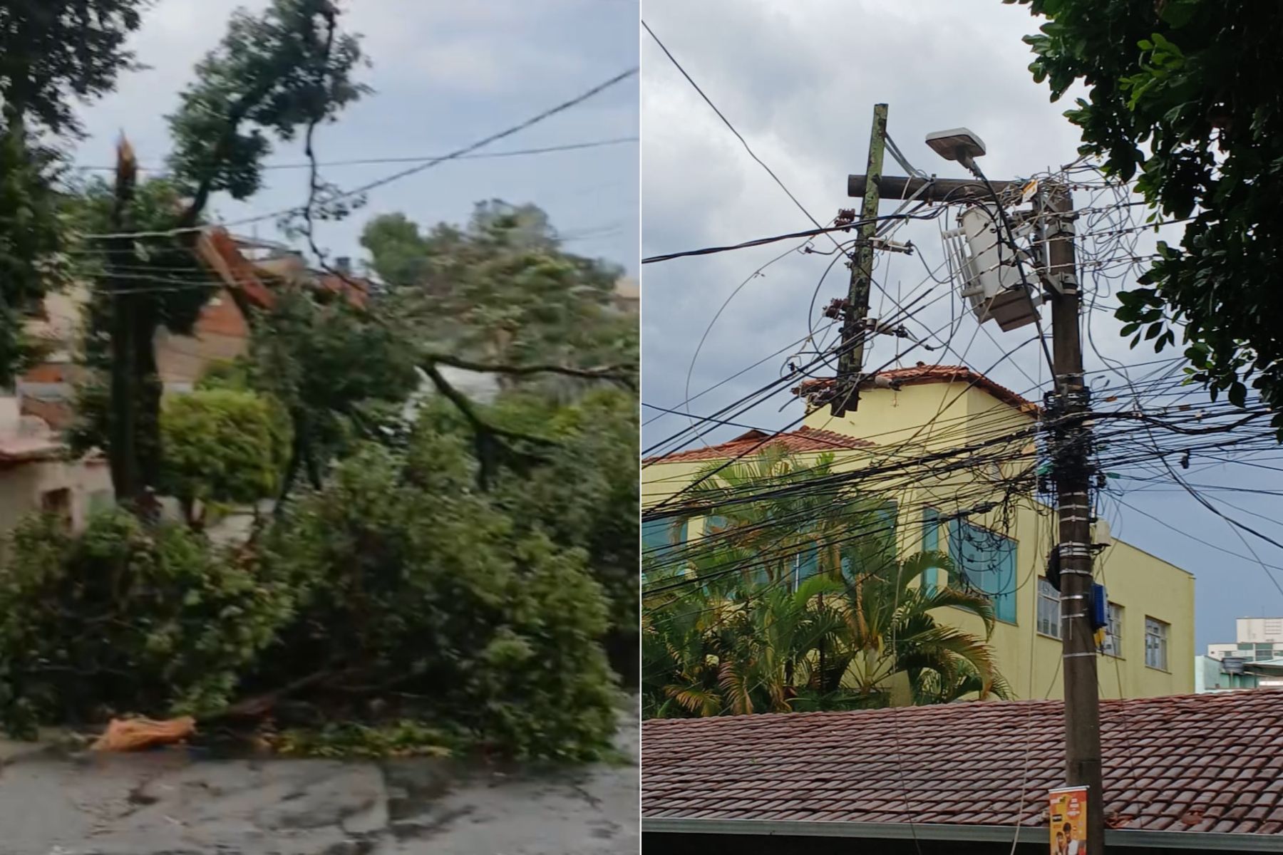 Duas árvores de grande porte caem e fecham rua no bairro Cachoeirinha, em BH