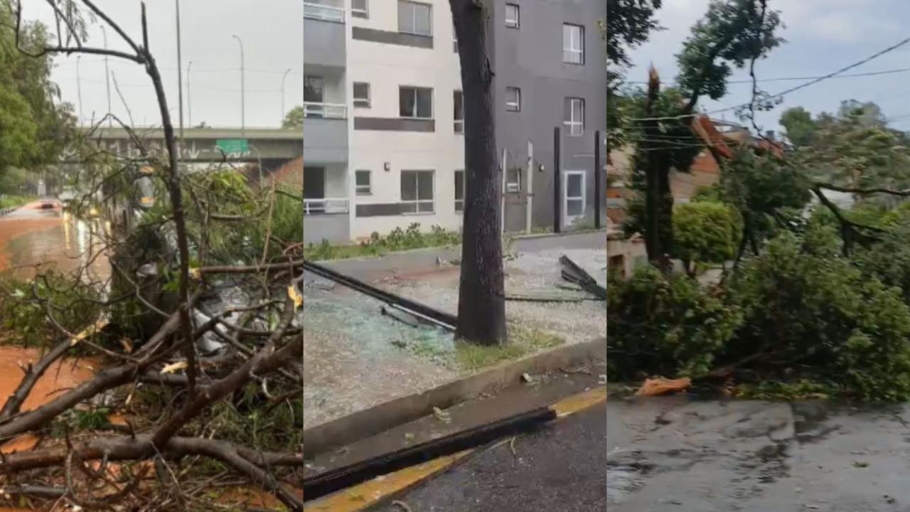Imagem da notícia publicada por Itatiaia Minas